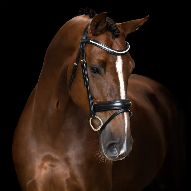 Prix Choc Bridon Imperial Riding combine simple - Poney - Noir