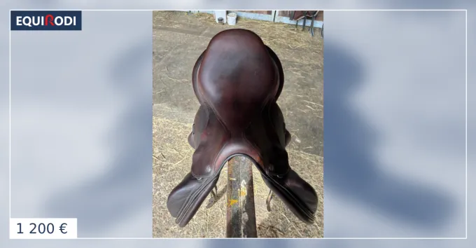 Selle de cross forestier Expdition Rapide