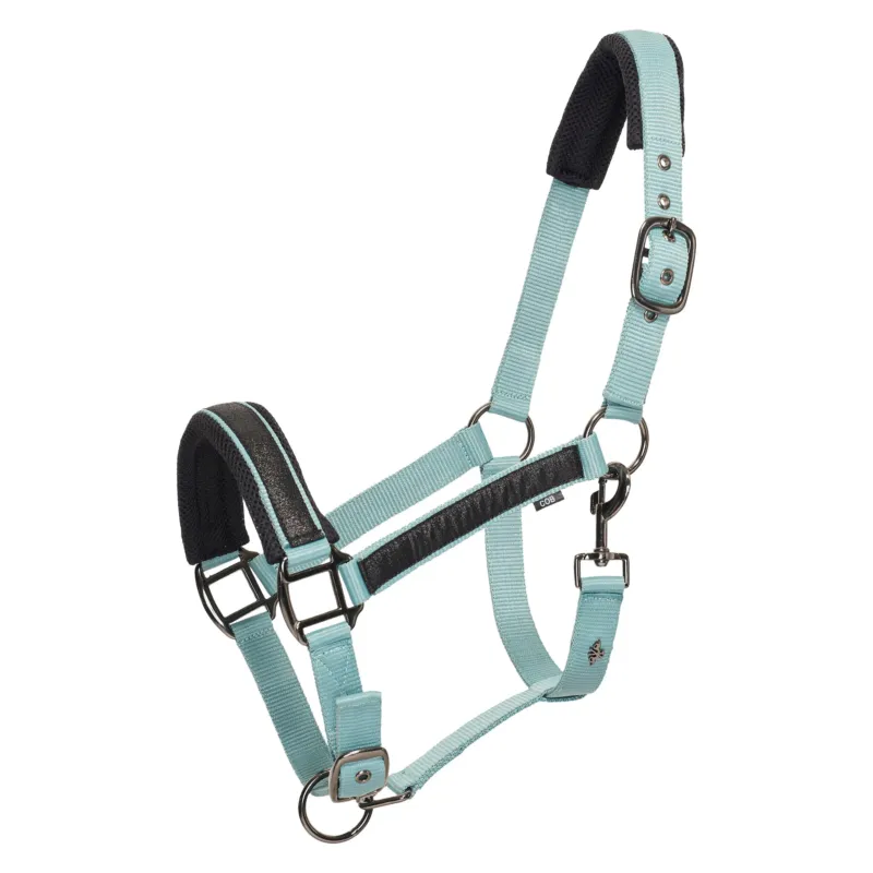 Prix Cass Licol HV Polo Katy - Poney - Aqua sky