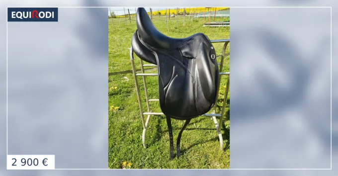 Prix Choc Selle dressage devoucoux