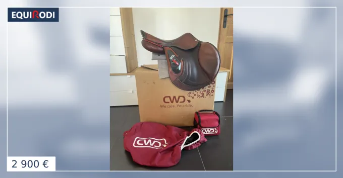 Authentique Selle CWD 2GS 17, 5 3C