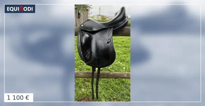 Selle de dressage CWD Retour Gratuit