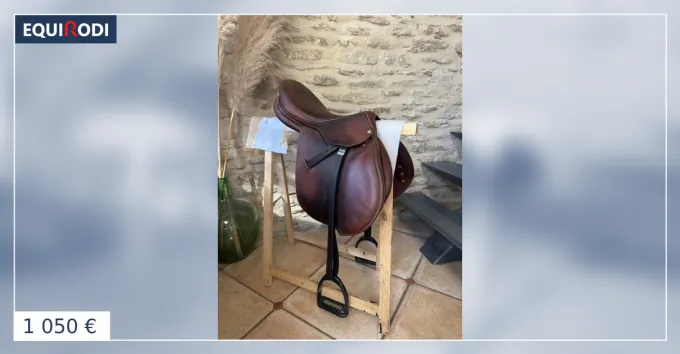 Acheter Direct Selle childeric