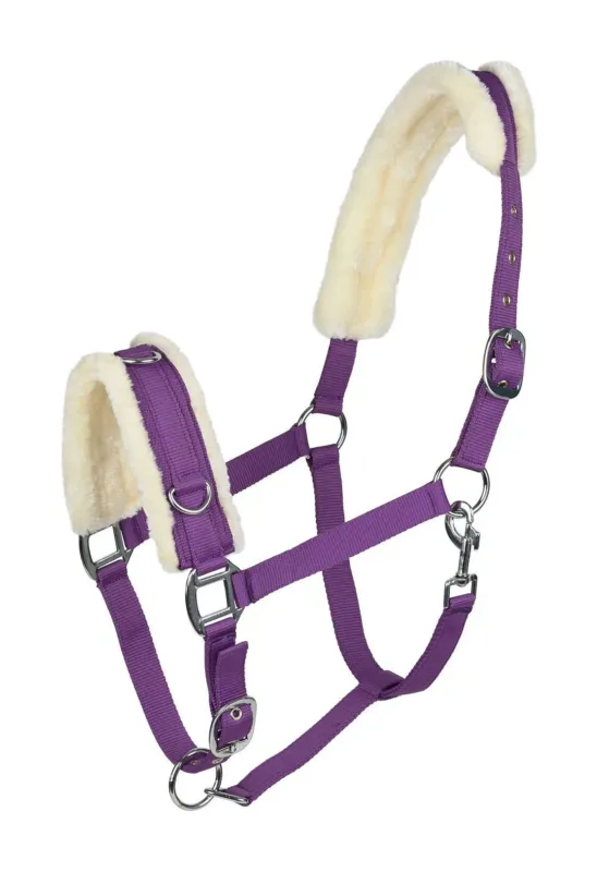 Caveon Horze mouton - Poney - Violet Quantit Limite