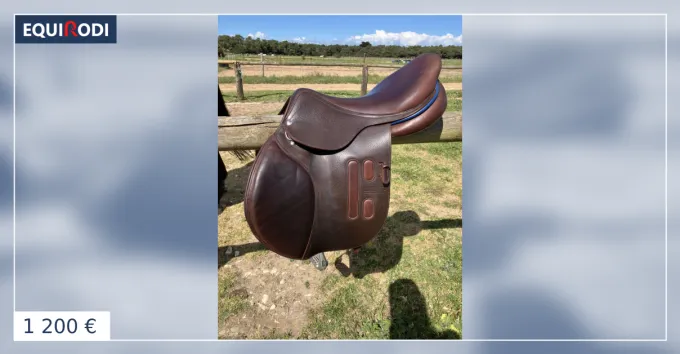 Achat Immdiat Selle GBS, Taille 17,5