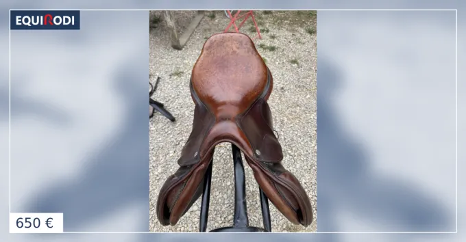CWD de 2007, 17 pouces Dernire Chance