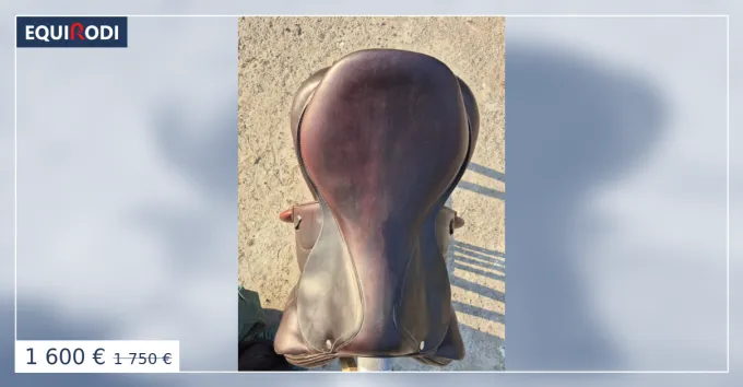Selle Devoucoux Chiberta O 18" Expdi Aujourdhui