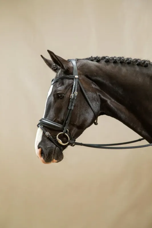 Bridon Muserolle Combine Large Working By Dy'on - Grand cheval - Noir Certifi