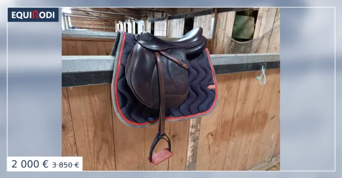Promotion Saisonnire Selle VOLTAIRE DESIGN CSO