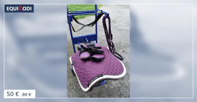 Ensemble couleur aubergine Dernire Chance