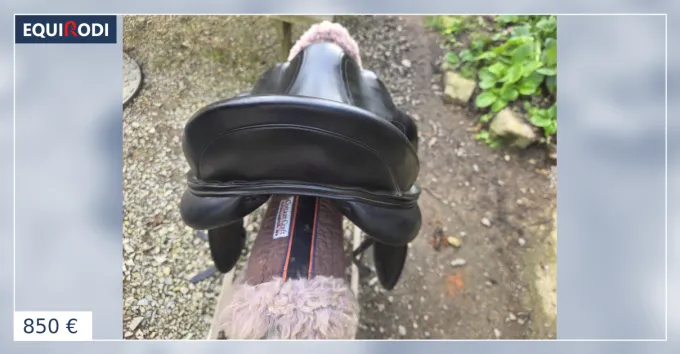 Top Vente Selle dressage antares