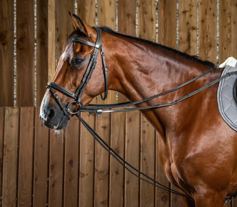 Rnes allemandes Full Leather 1/2 Working By Dy'on - Cheval - Noir Livraison Gratuite