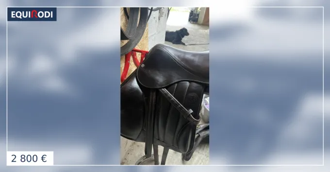 Selle Forestier Boekelo Paiement Scuris
