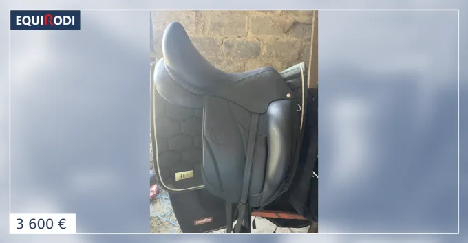 Selle forestier Aachen Nouveaut