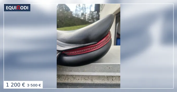 Commander Maintenant Selle time rider