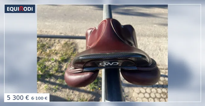 CWD 2Gs SE41 tat neuf Expdition Rapide