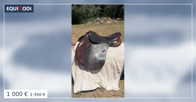 Bon March Selle Cavaletti