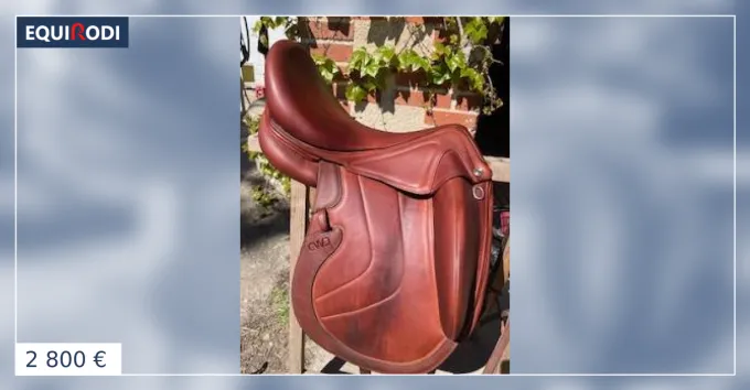Nouvelle Collection Selle Dressage CWD - 18' - 2024