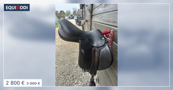 Je vends ma selle quipe Mofels Synergy spciale (17K00 Meilleur Prix