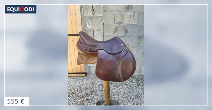 Selle ric Thomas interchangeables 17 Affaire Saisir