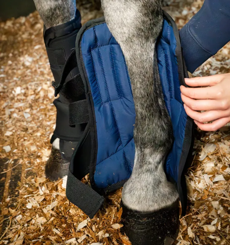 Prix Promo Doublure Ionic Horseware pour gutres de box - L - Noir