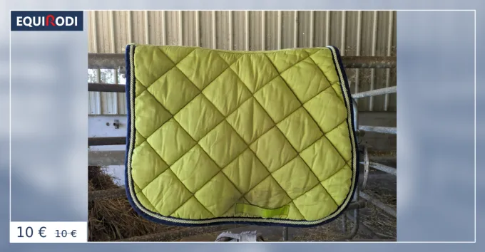 Remise Tapis quitation vert