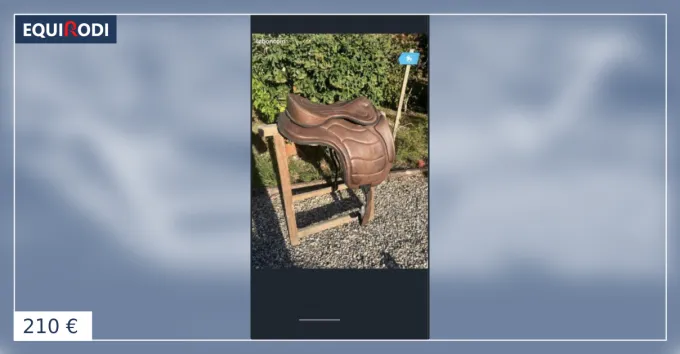 Must-Have Selle ric Thomas