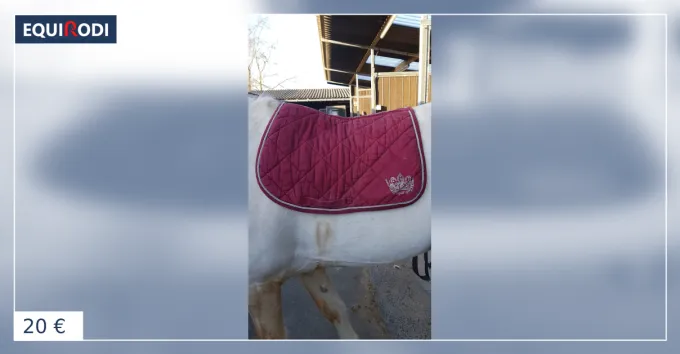 Petit Prix Tapis
