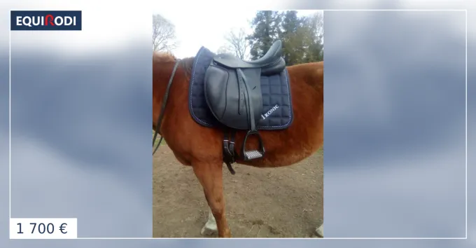 Dernier Modle Selle de dressage