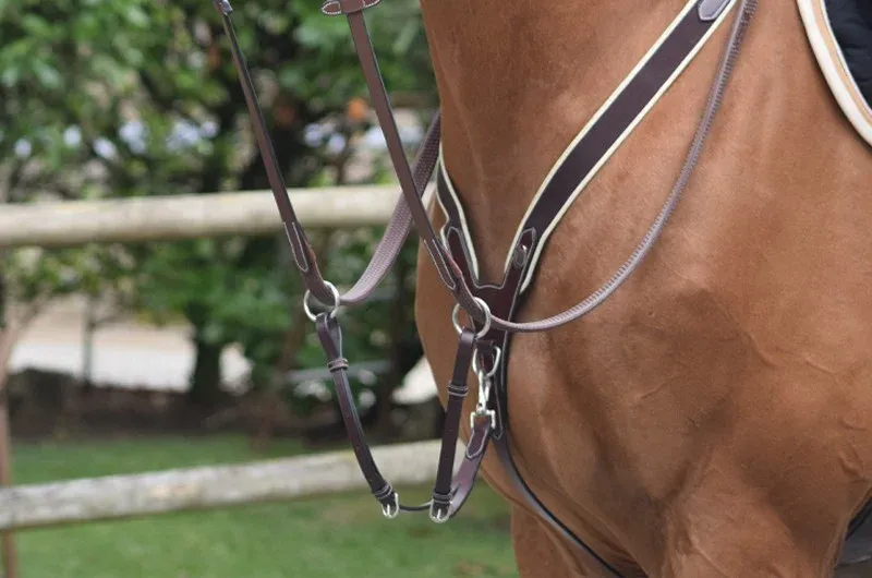 Collier de chasse Jump'In lastique et martingale - Cob - Noir Haute Qualit