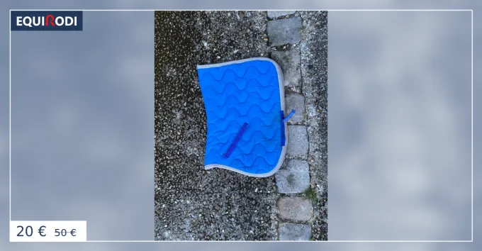Nouvel Arrivage Tapis Equitheme Bleu
