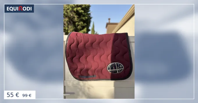 Nouvelle Collection Tapis Jumpin Bordeaux
