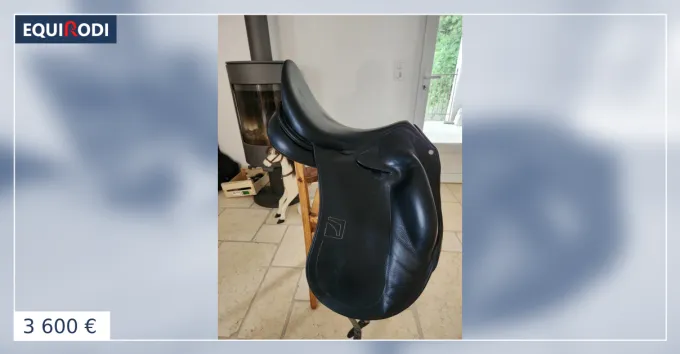 Satisfait Ou Rembours Selle Childeric DPL 17 quartiers1