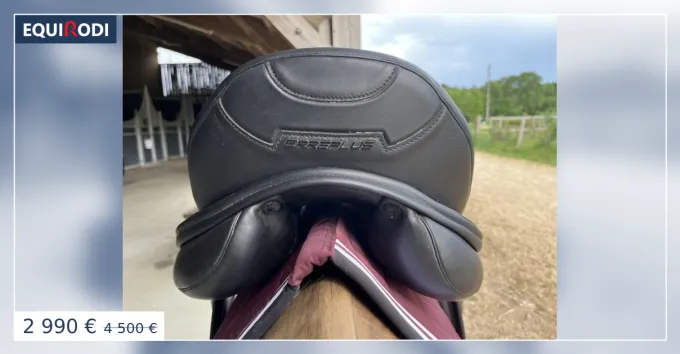 Selle Erreplus Impulse Bon March