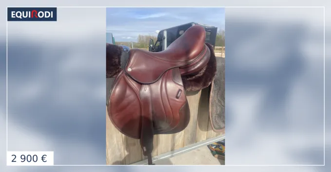 Prix Rduit Selle CWD vendre