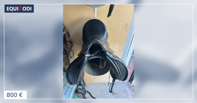 Selle dressage Prestige Italia 17 Haute Qualit