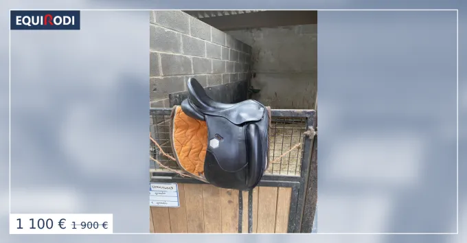 Prix Choc Selle de dressage