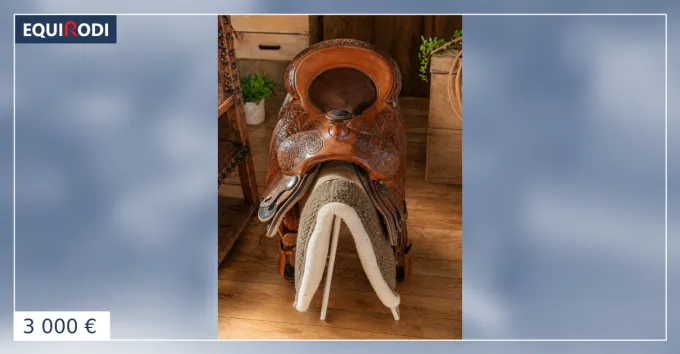 Prix Bas Selle western Equi-D 16,5 Occasion