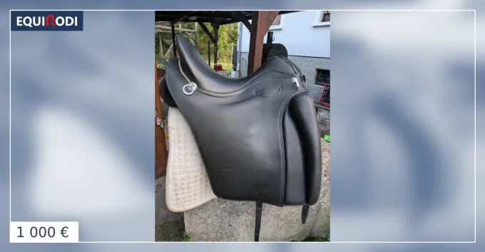 Quantit Limite Selle Zaldi dressage 17,5