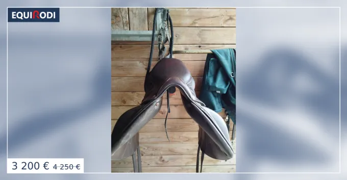 Selle Forestier Boekelo Vente Flash