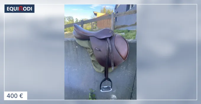 Vente Directe Selle ric Thomas Oxer Taille : 17,5