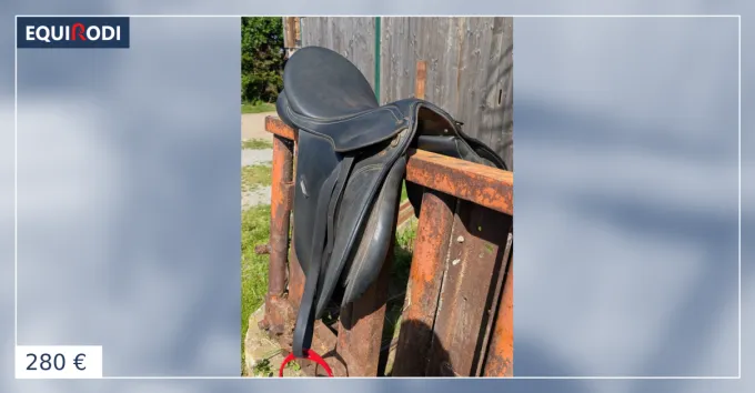 Selle wintec 250 Authentique