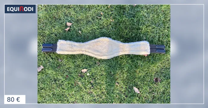 Nouveaut Sangle Kentucky (120 cm) en noir