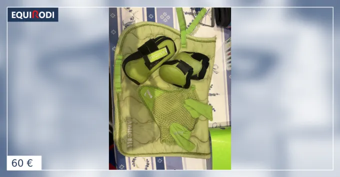 Ensemble Lami-Cell vert pomme Nouvelle Collection