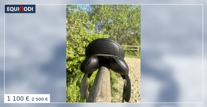 Quantit Limite Selle dressage 17,5