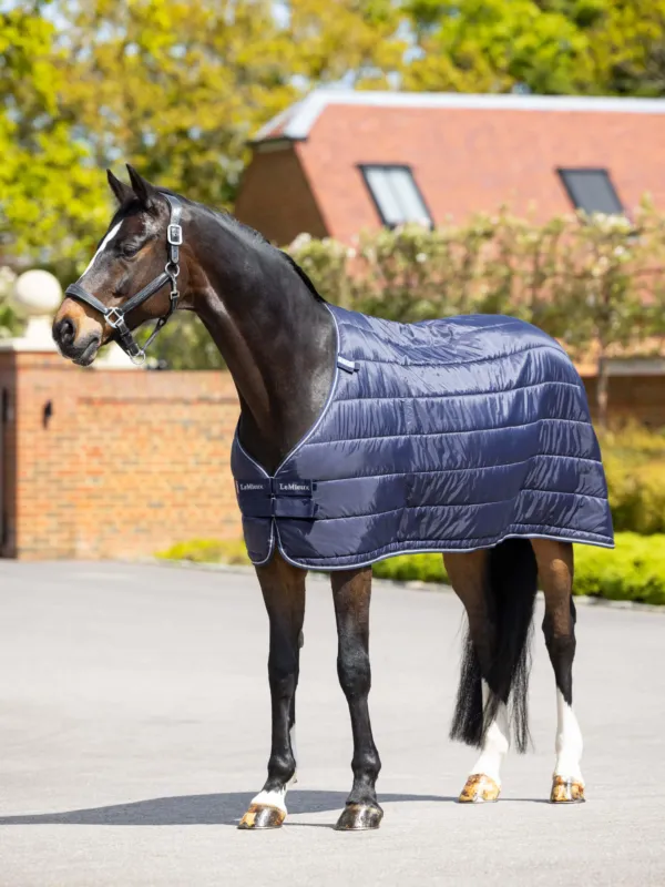 Prix Cass Sous-couverture LeMieux 100 g - 135 cm
