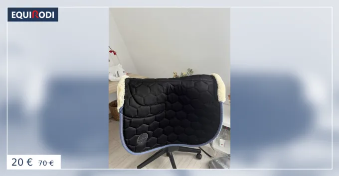 Tapis quitation bleu felix buhler Prix Promo