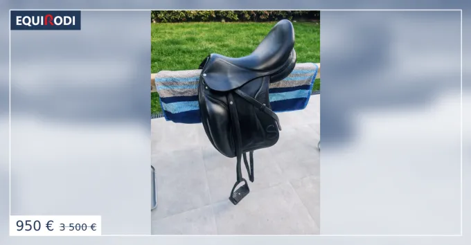 Commander Vite Selle dressage Forestier Ilium