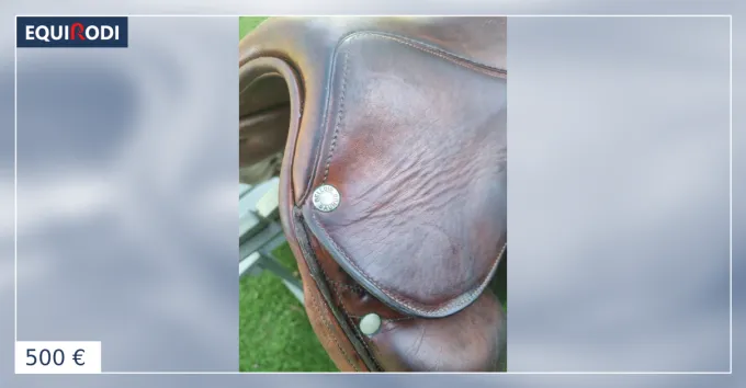 Prix Rduit Selle dressage BELLOIR 17'
