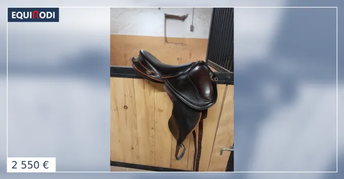 Super Prix Selle Margeride Gaston Mercier Large